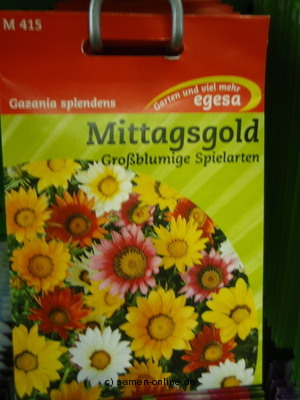 Mittagsgold ‚Großblumige Spielarten‘ Gazania spledens,