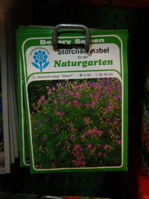 Storchenschnabel ‚Vision‘ Geranium sanguineum
