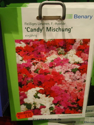 Fleißiges Lieschen ‚Candy Mischung‘ Impatiens walleriana