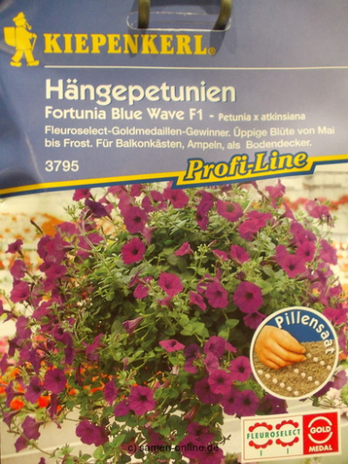 Petunie Hängepetunie ‚Lavender Wave‘ Petunia fortunia