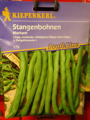 Stangenbohne Markant