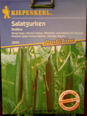 Gurke Treibgurken 'Sudica F1'