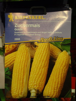 Zuckermais Golda F1