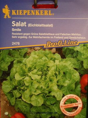 Eichlaubsalat Smile