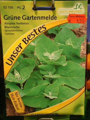 Melde, Gartenmelde