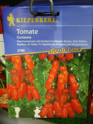 Tomate Flaschentomate Corianne