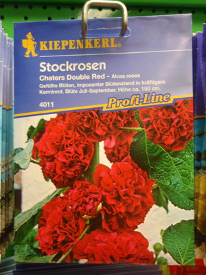 Stockrosen, 'Double Red' gefüllt, Althaea rosea