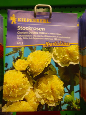 Stockrosen, 'Double Yellow' gefüllt, Althaea rosea