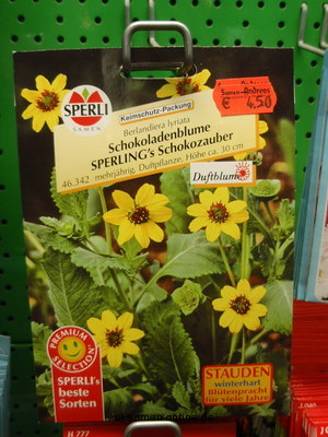 Schokoladenblume