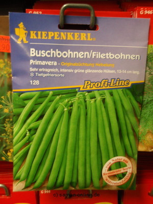Buschbohnen 'Primavera'