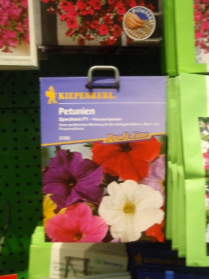 Petunie Spectrum F1 Petunienmischung
