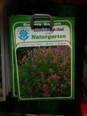 Storchenschnabel ‚Vision‘ Geranium sanguineum
