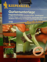 Gurken Veredelungs Set