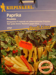 Paprika 'Pinokkio F1'