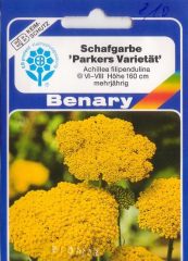 Schafgarbe ‚Parkers Varietät‘ Achillea fillipendulina