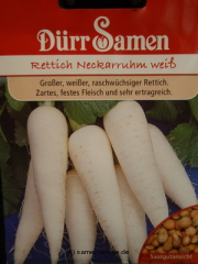 Rettich Neckarruhm weiß,