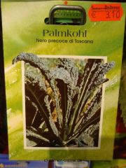 Grünkohl / Palmkohl