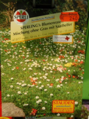 Blumenmischung 'Sperlings Blumenrasen',