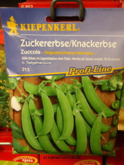 Zuckererbsen 'Zuccola'