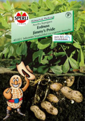 Erdnuß 'Jimmy's Pride'  Arachis hypogaea