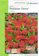 Zinnie 'Profusion cherry', Zinnia elegans