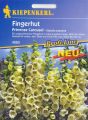 Fingerhut 