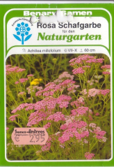 Schafgarbe rosa, Achillea millefolium