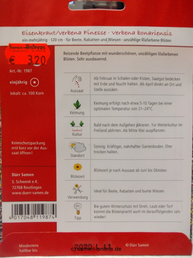 Eisenkraut 'Finesse' Verbena bonariensis