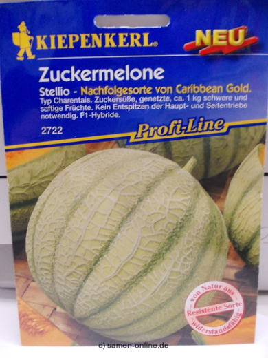 Zuckermelone Stellio