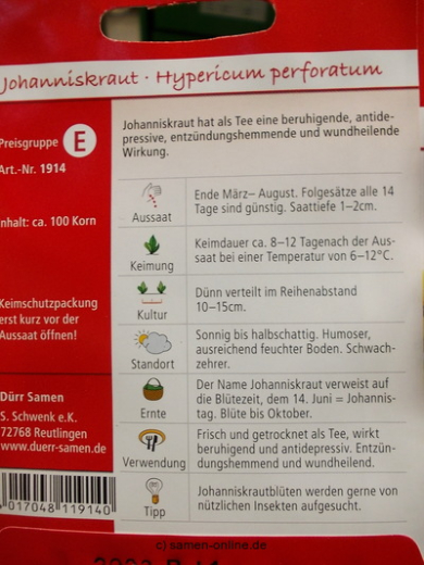 Johanniskraut Hypericum perforatum