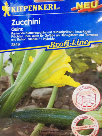 Zucchini Quine F1