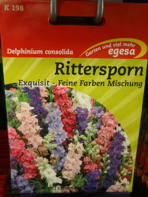 Rittersporn  Exquisit  Delphinium consolida