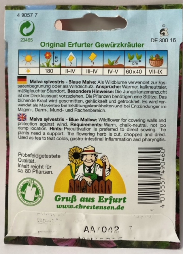 Blaue Malve - Malva sylvestris