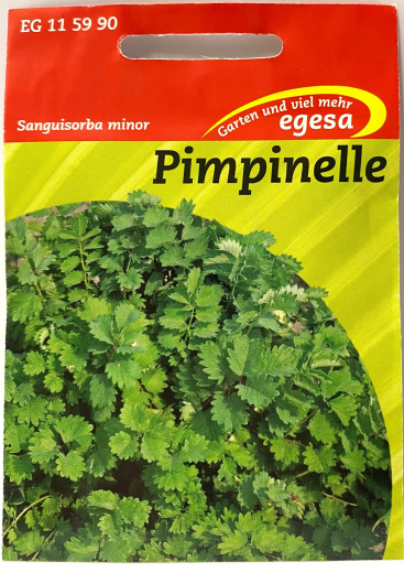 Pimpinelle / Bibernelle - Sanguisorba minor