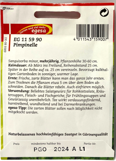 Pimpinelle / Bibernelle - Sanguisorba minor