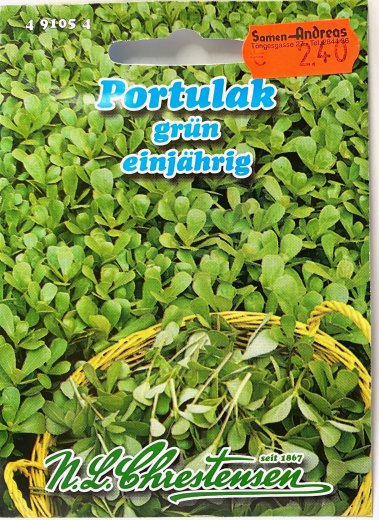 Portulak, Sommerportulak