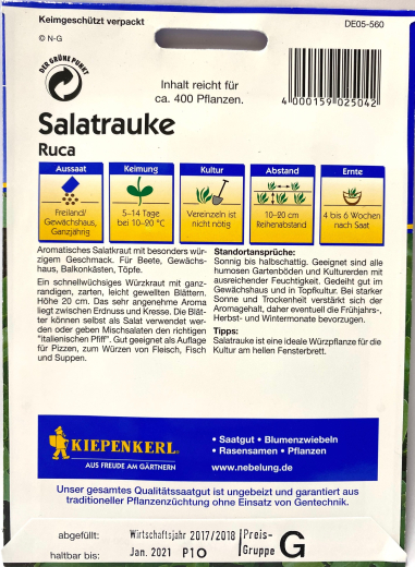 Ruca Salatrauke - Eruca sativa