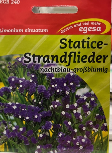 Statice o. Meerlavendel Nachtblau Limonium sinuatum