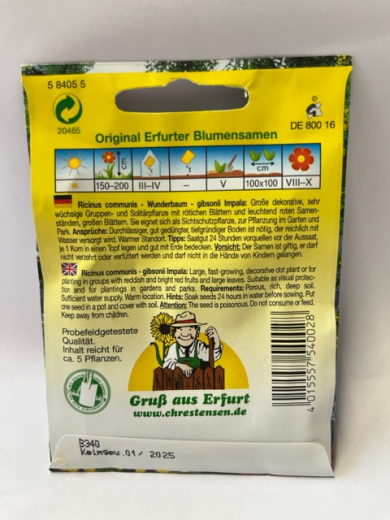 Wunderbaum, Ricinus gibsonii impala, dunkelrot