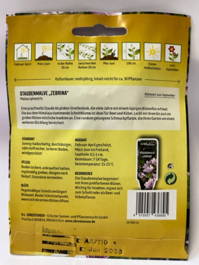 Malve, Staudenmalve, 'Stripes' - Malva sylvestris