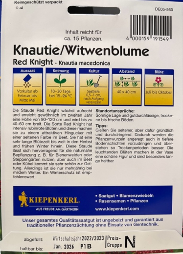 Scabiose Knautie Witwenblume 'Red Knight' Knautia macedonia