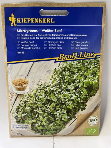 Wei�er Senf  Microgreens  Sinapsis alba