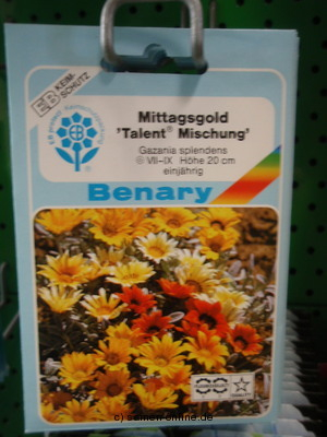Mittagsgold  Talent MIX  Gazania spledens