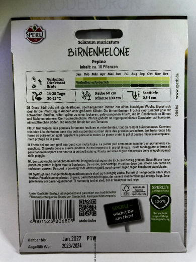 Birnenmelone Pepinio - Solanum muricatum