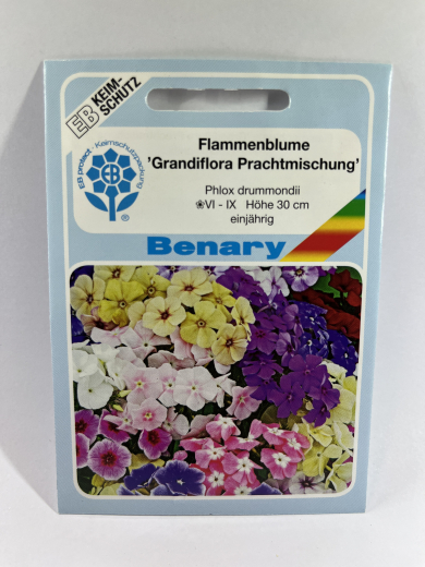 Phlox, Flammenblume 'Grandiflora Prachtmischung'