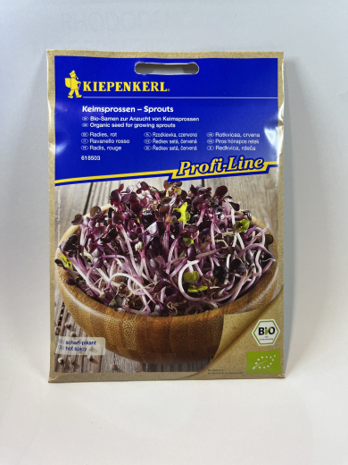 Radies Keimsprossen