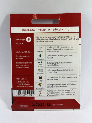 Baldrian - Valeriana officinalis