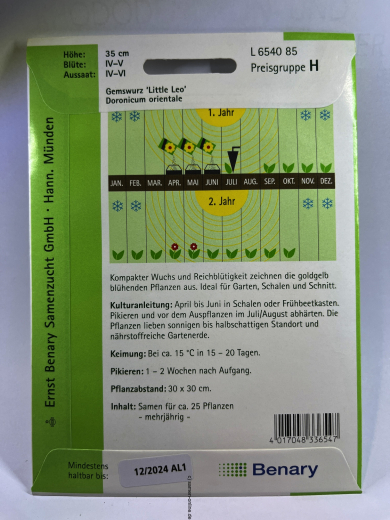 Gemswurz 'Little Leo' - Doronicum orientale
