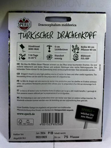 T�rkischer Drachenkopf Dracocephalum moldavica