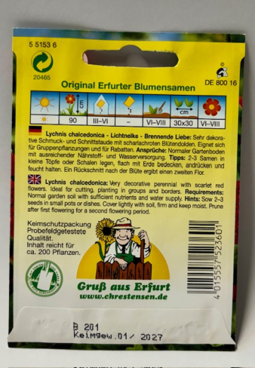 Lichtnelke - Brennende Liebe - Lychnis chalcedonia